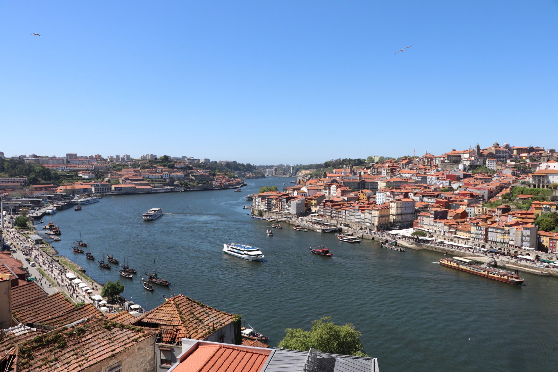 Visiting Porto in Portugal