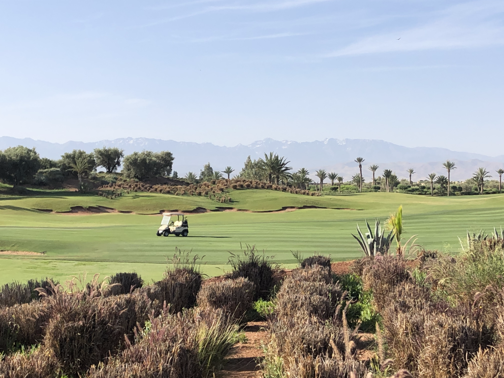 Fairmont Royal Palm Marrakech, Golf